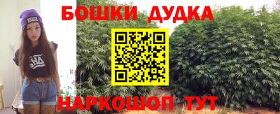 spice Кингисепп