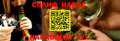 spice Кингисепп
