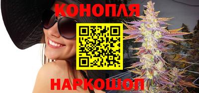 spice Кингисепп