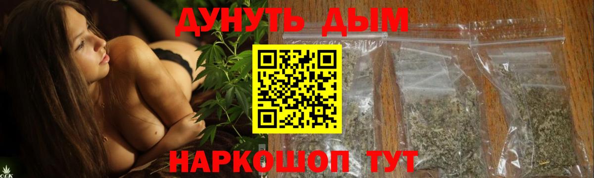 Конопля план Курчалой